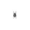Vila blanes corset et string - Noirs